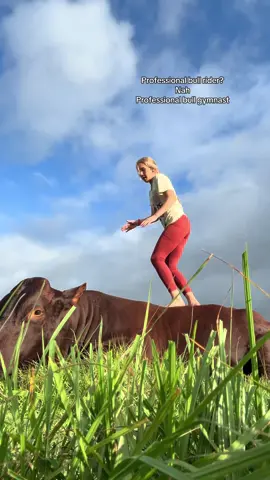 Can we tell I’m better at making bulls big babies then gymanastics?   #viral #trending 