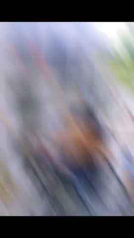 #poliomilitis👩‍🦽💪🥰😍Mamá 