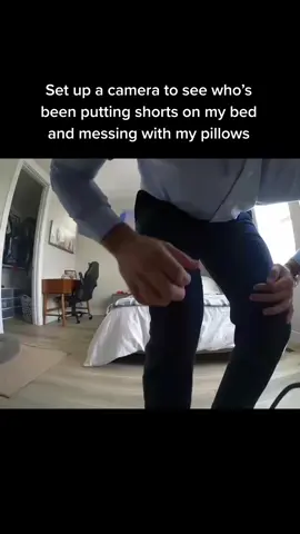 And I would’ve gotten away with it too if not for your magic recording box, dad! 🐶 #dogsoftiktok #funnydog #funnydogs #caught #caughtintheact 🎥 Credit: John Friend