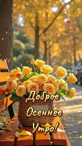 #CapCut доброе утро!