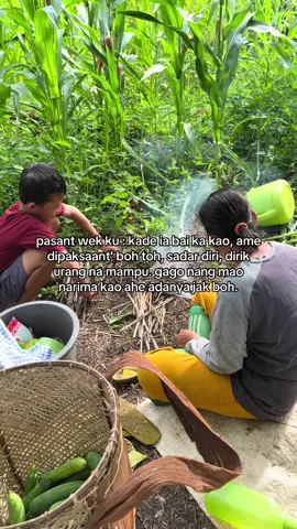 🫡 #promomakan1010 #fyppppoppoppppppppppppppp #storydayak #storydayakkanayatn #saboro 