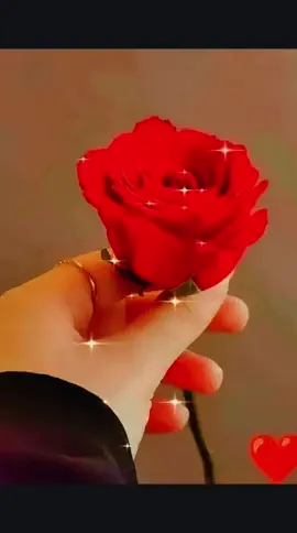 #صباح_الخير 