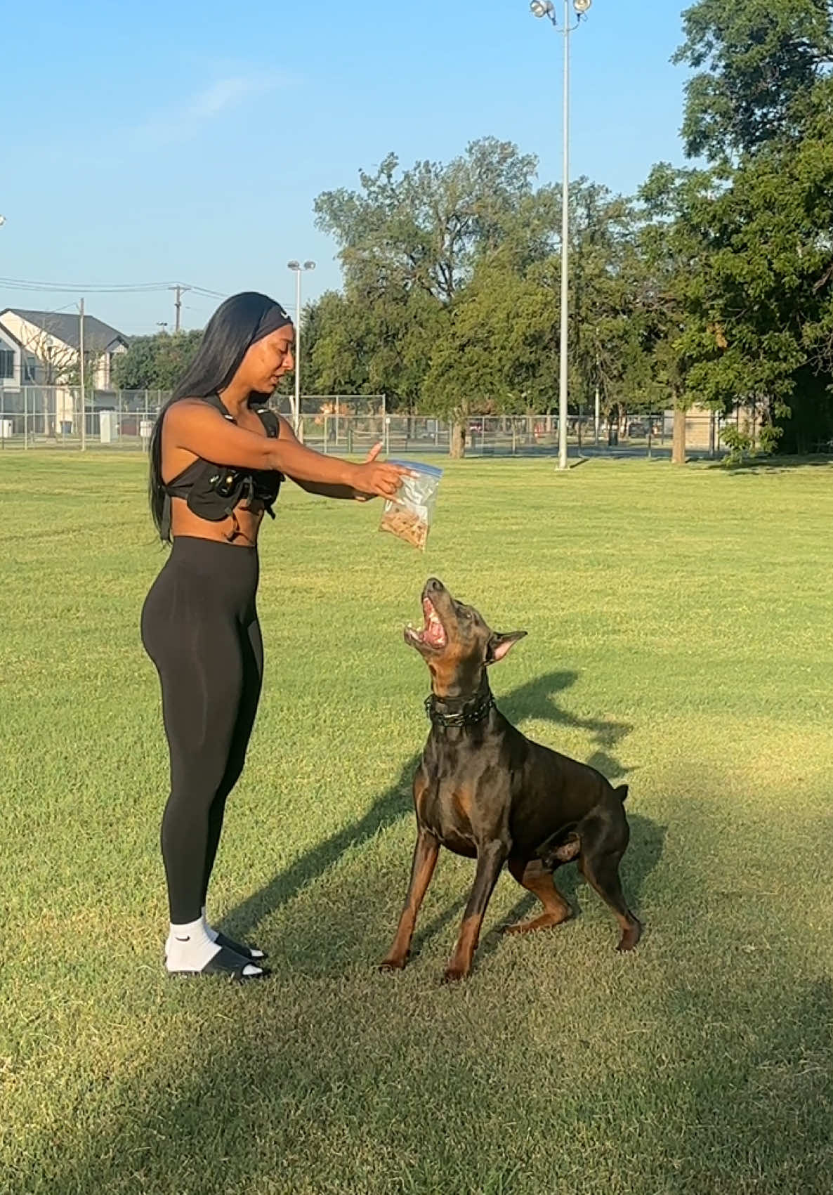 PAWCONTROL Pratice 🐶🐾#doberman #dogmom #dogsoftiktok #dobermansoftiktok #doglife 