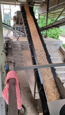 mưa 🌧 quá các bác ạ.cách nhau có mấy trăm mét lại có xưởng dăm gỗ.mọc ra nhiều xưởng quá 😅😁 #côngviệchàngngày #thịnhhanh 