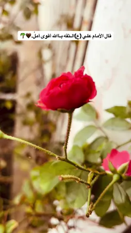 يالله🍃 #تصويري #تصويري_احترافي_الاجواء👌🏻🕊😴 #اكسبلورpov #مشاهدات #غيوم 
