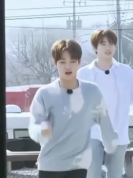my puppy#jihoon #treasure #kpopfyp #abcxyz #fypシ゚ 