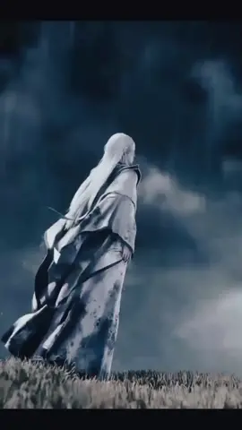 Renegadeimmortal 🥀  #story #donghua #sad #fyp 