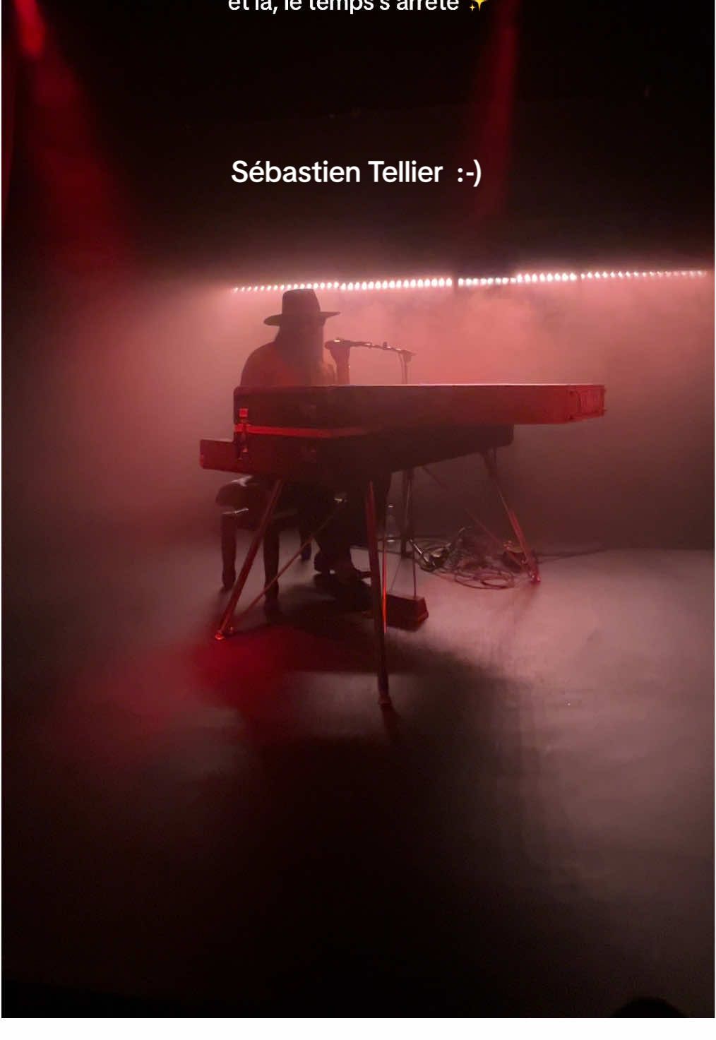 L’amour et la violence 🫶 #SebastienTellier #musique #concert #showcase #frenchtouch @SebastienTellierMusic @anajournaliste @Because Music *invitation*