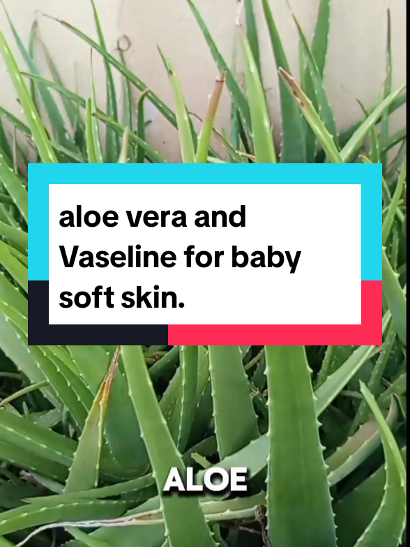 aloe vera and Vaseline for baby soft skin. #skincare #smoothskin 