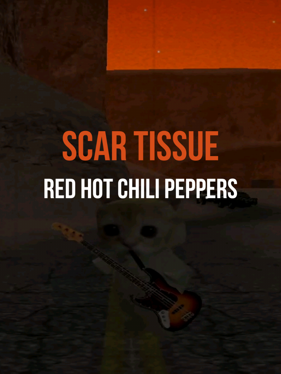 SCAR TISSUE 🌅 - Red Hot Chili Peppers #scartissue #redhotchilipeppers #rhcp #lyrics #edit 