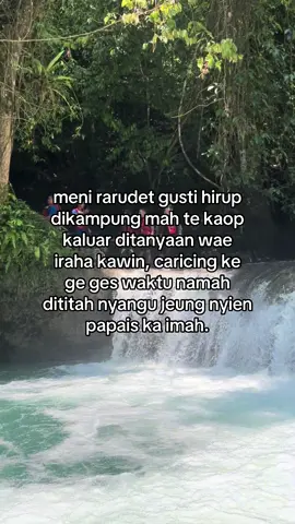 citumang wonderful 