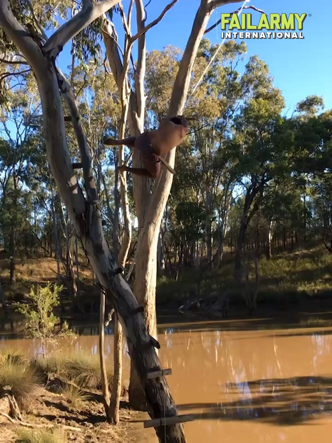This is why I have (rope) attachment issues 🙃 #ropeswing #zipline #fail #funny #failarmy