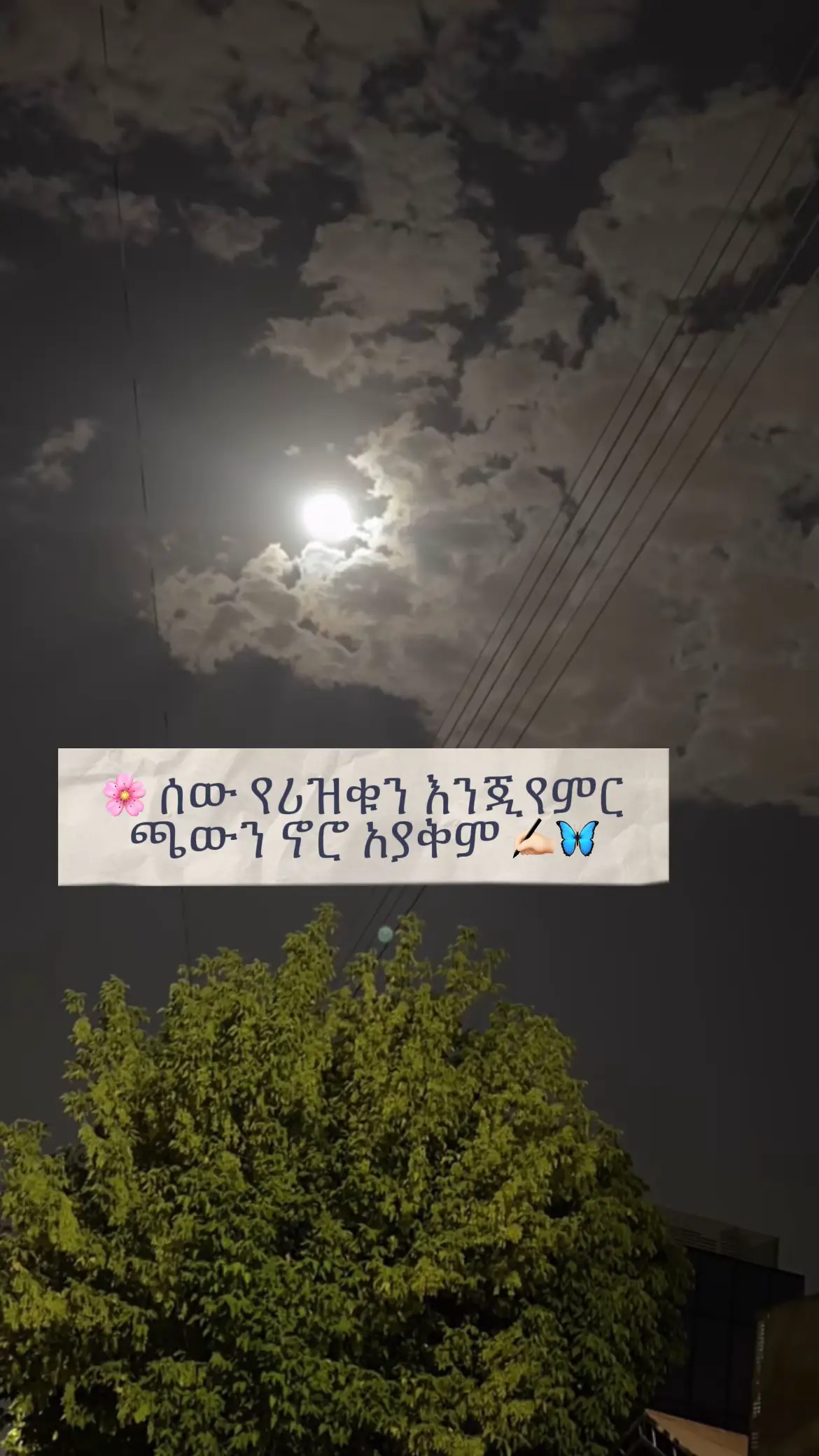 #ፍቅር➻ብቻ🖇ፍቅር➻ብቻ❤🥀🔐 