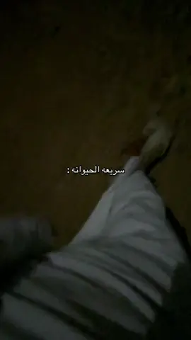 ههههههههههههههههههههه#اكسبلور #السعودية #arar #fyp #pov 