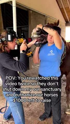 Did y’all know horses need dental care just like humans? We just got our new guys done today! Good dental care helps with weight gain, attitude issues and just overall health of the horse.   . . #EquestrianLife #RescueHorse #AdoptDontShop #ForeverHome #HorsesInNeed #GiveAHorseAChance ##