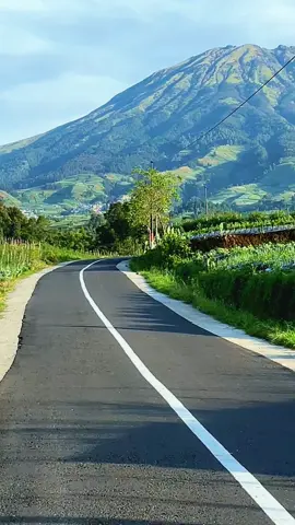 Satu kata..,,…#fyp #fyppppppppppppppppppppppp #sumbingmountain #nepalvanjava_magelang #vidioviral 