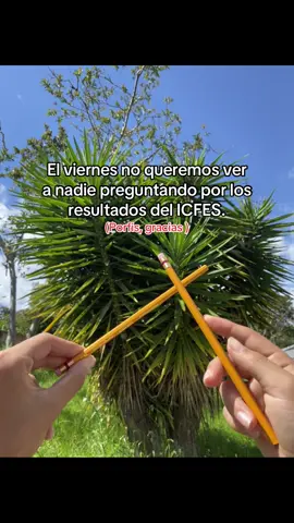 #prom #2025 #icfes #2025 #colegio 