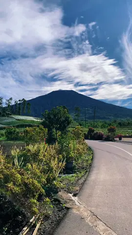 Sawah 9 atau Guguak Puti Saindu ko sanak? #raunsabalik #sumaterabarat #vibes #tanahdatar #laguminang 
