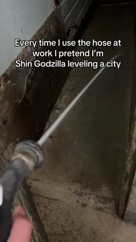 Dumb video I wanted to make for a while #furry #furrytiktok #godzilla #shingodzilla2016 #kaiju 