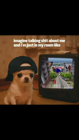 And I am #sonic #gamecube #dreamcast #sonicadventure #sonicadventure2 