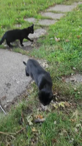 #paratipage #foryoupage #fyp #contodosinoparaque🤜🤛🙈🙉🙊 #foryou @MRPICH70 🚛 