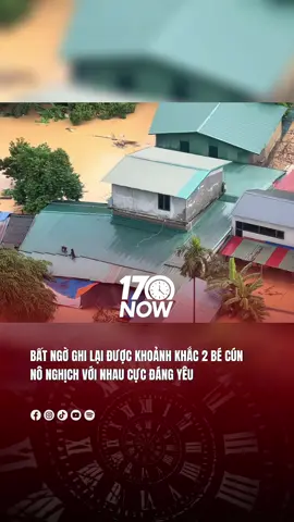Bất ngờ ghi lại được khoảnh khắc đáng yêu của 2 bé cún #17network #17now