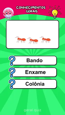 #quizconhecimetogeral 