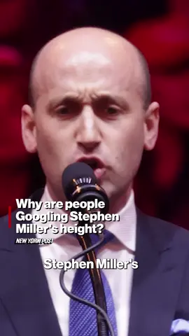 Searches for deputy chief of staff Stephen Miller’s height have bizarrely skyrocketed in recent days – begging the question: why?