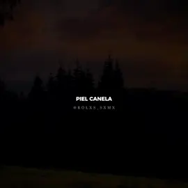 PIEL CANELA: LUIS SILVA. -#paradedicar #luissilva #canciones #parejas #musica 
