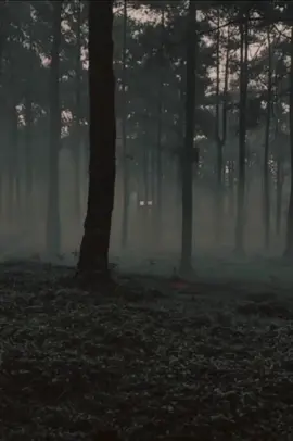 #Seperti alunan detak jantungku🥀🥀 #masukberandafyp #sadstory🥀 #fypppppppppppstory 