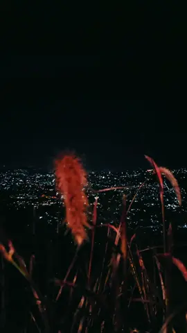 city light diatas ketinggian selalu bikin tenang #creatorsearchinsights #belajarmendaki #creat #design #lembangview 