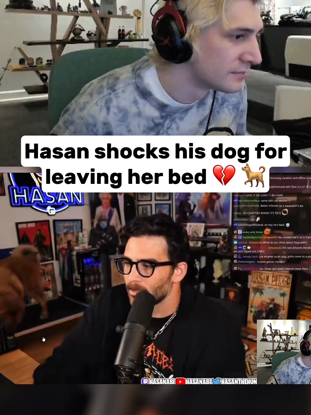 xQc reacts to Hasan shocking his dog for leaving her bed💔🐕 #xqc #streamer