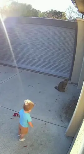 Cat saves child from electric door 🎥 Unbelievable Moments | Caught on Camera Real-life moments that will shock you 😱 Unbelievable rescues, mysterious encounters & viral footage — all caught on camera! 🎬 👇 Watch till the end and follow for more 🔥 #caughtoncamera #securityfootage #unbelievable #viralvideo #fyp           