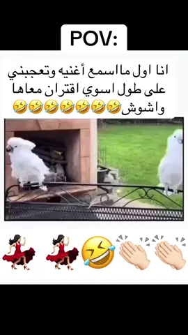 #💃🏻👏🏻🤣 #ضحك_وناسة #الشعب_الصيني_ماله_حل😂😴 #اكسبلورexplore 