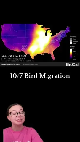 Do your part in aiding of bird migration!  #birdmigration #dfw #chicago #nature #bird 