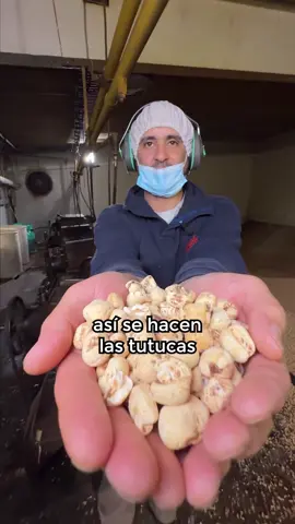 ASÍ SE FABRICAN LAS TUTUCAS 🔥! Nos metimos en la fábrica de “Burbujas Cereales y Snacks” , el mayor productor de Tutucas de Argentina 🇦🇷. Además hacen Papas Pay, Palitos, Chizitos, Cereales y todo lo que no puede faltar en tu cumpleañito 🎉. Aguante la industria nacional ❤️!