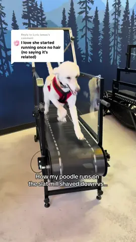 Replying to @𝐋𝐲𝐫𝐢𝐜 𝐥𝐞𝐦𝐨𝐧 