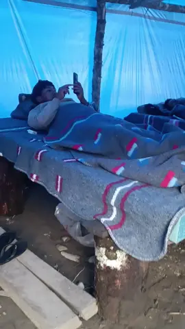#🌲🌴🛏️