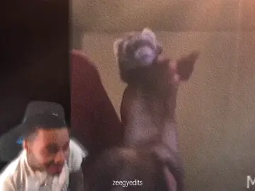 @FlightReacts is the greatest youtuber of all time 😭 (tag him) #fyp #zeegyedits #edit #viral #flightreacts