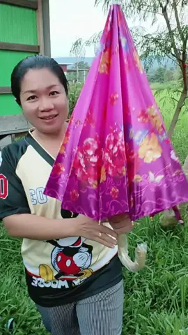 ร่มผ้าซาตินสีสวยๆ กางกันแดดกันฝน #ร่ม #ร่มกันแดด #ร่มกันฝน #ร่มผ้าซาติน #ธิชาแม่ค้าตัวกลม @ธิชาแม่ค้าตัวกลม🌻 