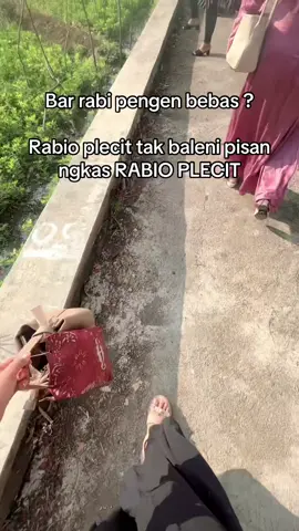 Oleh plecit pokok e rono rene dewe🤟🏻 #plecithitz #fyp #fypシ゚ #xyzbca 