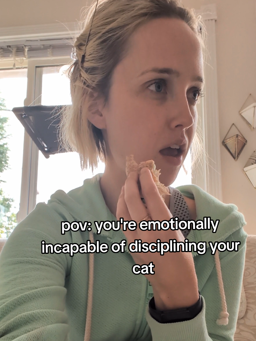 sound on. ps, cats cant be disciplined because a) they're too fragile b) they're too emotional and c) they're smarter than you DISCLAIMER: for all the people getting upset, of course you can train your cats. disciplining should never happen in any way other than a firm 'no.' one should never, ever physically discipline a cat. #naughtycats #badcats #naughtyanimals 