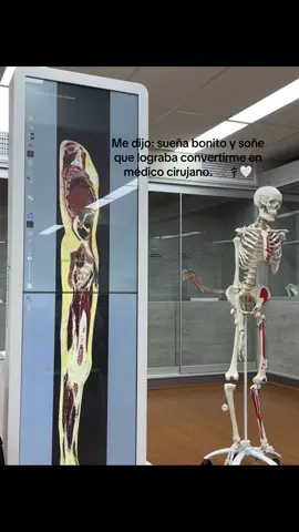 #medstudent #medicocirujano #medicinahumana #fyp #viral 