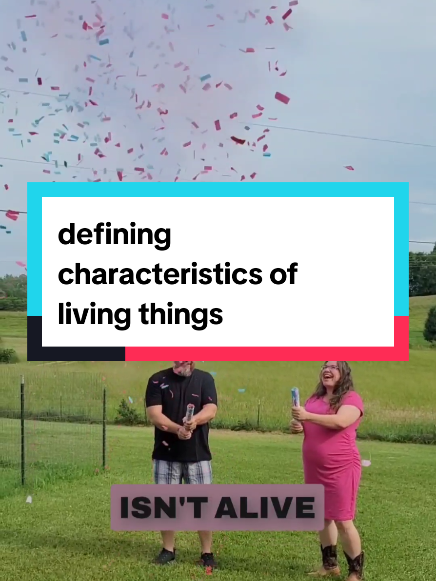 Replying to @volvabyblood just because an organisme cannot sustain itself doesn't mean it's not alive. Being able to live independently is not actually a biological requirement of a living thing. I've taught biology at the HS and College level for 15 years.  I also have twins that were born at 26 weeks gestation. They were very much alive, despite needing heat and oxygen and feeding tubes. Can a newborn survive without help? What about someone who is profoundly disabled?  What about someone who's 90 and on oxygen? Someone on bypass and a ventilation for surgery? The biological requirements for loving things are: DNA✅️ Growth and Development ✅️ Organized Structure ✅️ Reproduction ✅️ Adaptability ✅️ Cells ✅️ Require Energy ✅️ #ChristianTiktok #biology #prochoice #prolife #alllivesmatter