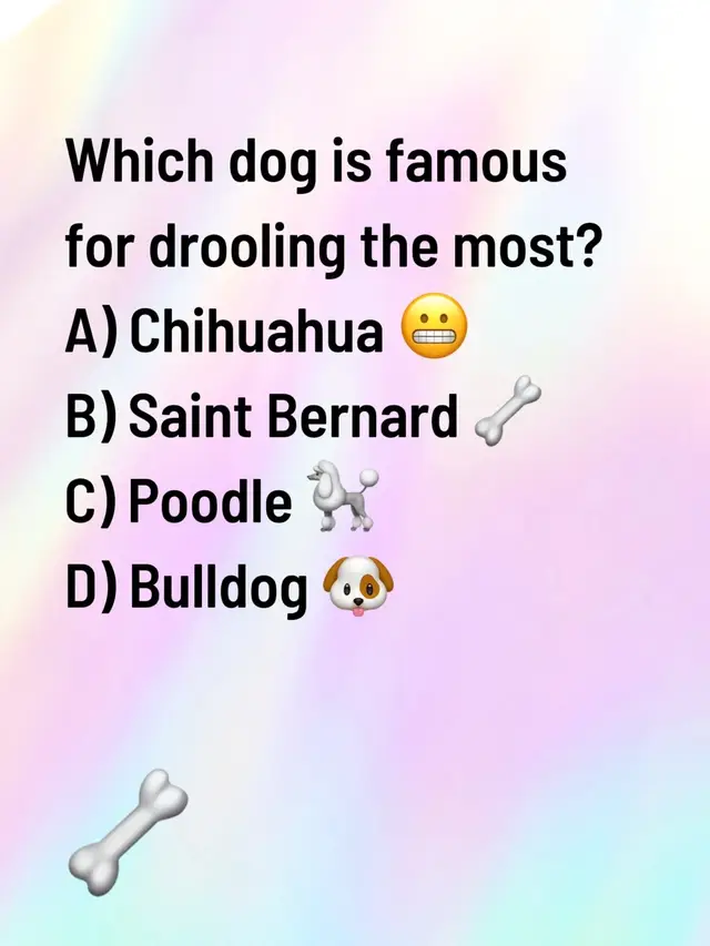 #quiz #dogsoftiktok 