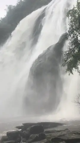 พาชมชมน้ำตกคลองลาน💦        ต้นเดือนตุลาคมกันนน🐊🎉 #อุทยานแห่งชาติคลองลาน #คลองลานกําแพงเพชร #อุทยาน #อุทยานแห่งชาติ #น้ําตกคลองคลาน #เที่ยวกําแพงเพชร #ที่นี่กําแพงเพรช #กําแพงเพพชร #น้ําตก #เที่ยว 