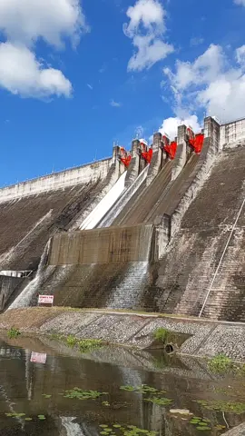 เช้าเวลาเปิด06.30ถึง07.00ช่วงเย็น19.00ถึง19:30ค่ะเขื่อนเปิดสปริงเวย์💦แรกๆสวยมากๆ❤️13ตุลาคมนี้เปิดสปริงเวย์รอบแรกของปี68นะ..มาเที่ยวกันนะ💦💦💦#เขื่อนขุนด่านปราการชล #นครนายก 