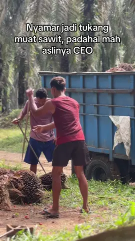 Nyesel kan lo🙂‍↔️ #pemuatsawitriau #kulisawit #sawitontiktok #storysawit🌴🌴 #fyp 