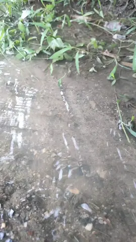 น้ำฟ้า#ฝนตก 