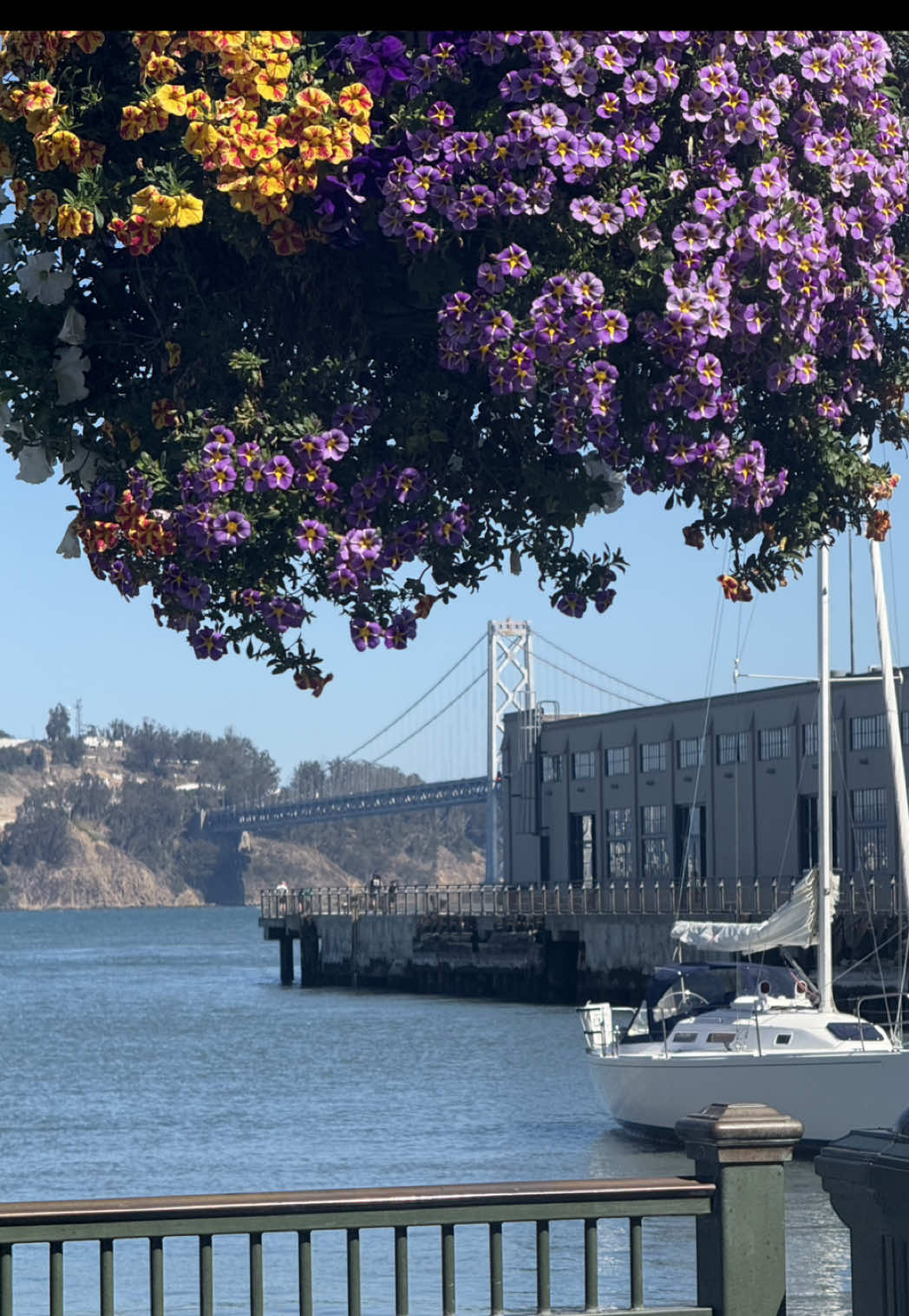 managed to soak up the sun this weekend along the Embarcadero ✨ #sf #embarcadero #baybridge #ferrybuilding #pier7 #sfwalks #ilysanfrancisco  #sflocals 
